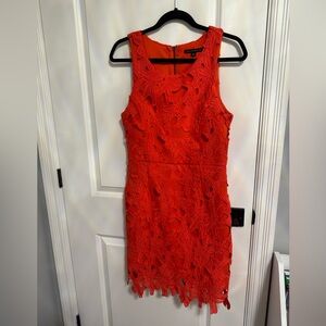 Haute Monde Red Lace Dress Size Large christmas dress red lace